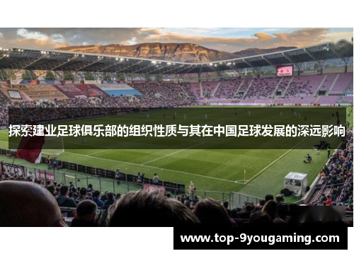 探索建业足球俱乐部的组织性质与其在中国足球发展的深远影响 探索建业足球俱乐部的组织性质与其在中国足球发展的深远影响