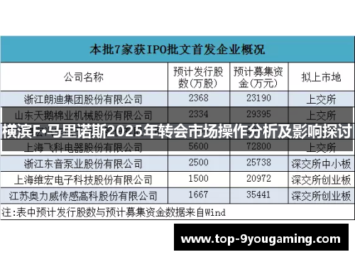 横滨F·马里诺斯2025年转会市场操作分析及影响探讨 横滨F·马里诺斯2025年转会市场操作分析及影响探讨