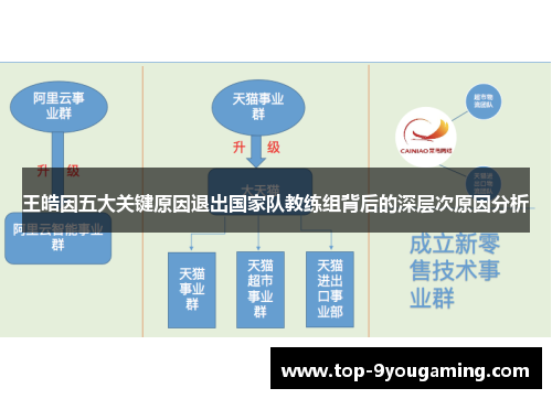王皓因五大关键原因退出国家队教练组背后的深层次原因分析