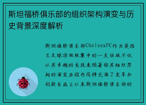 斯坦福桥俱乐部的组织架构演变与历史背景深度解析